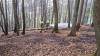 Die Kameraden kmpften sich mit den schwer gefllten Schluchen durch den Wald.